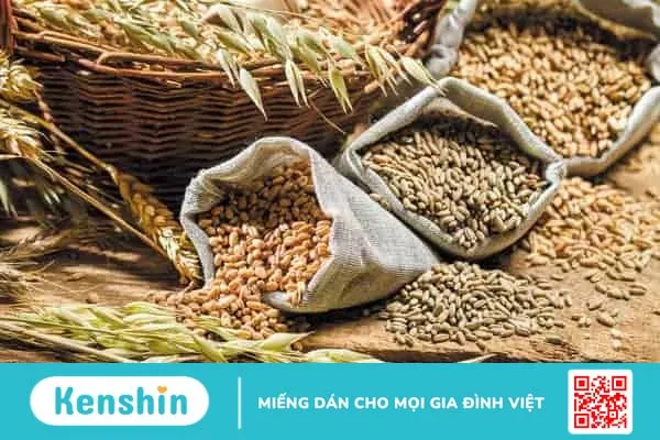 Rối loạn tiêu hóa nên ăn gì? 11 loại thực phẩm cải thiện tiêu hóa nhanh chóng