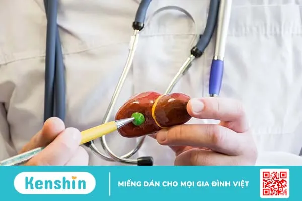 Siêu âm có phát hiện ung thư bàng quang không?