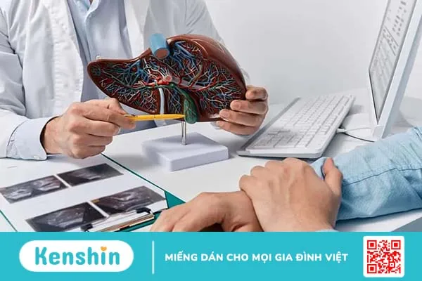 Siêu âm có phát hiện ung thư gan? Tầm soát ung thư gan sớm