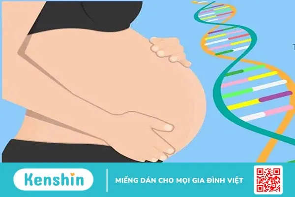 Sinh thiết gai nhau (CVS): Những thông tin mẹ bầu cần biết!