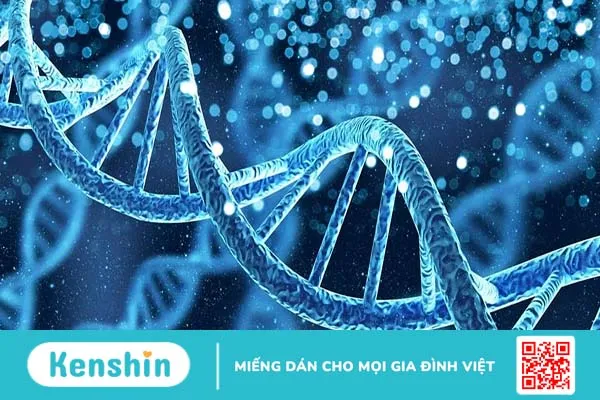 Sinh thiết gai nhau (CVS): Những thông tin mẹ bầu cần biết!