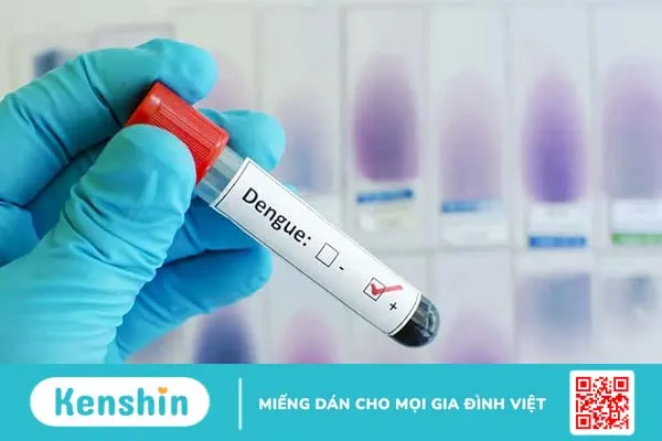 Sốc sốt xuất huyết Dengue nguy hiểm như thế nào? Xử trí ra sao? Sốc sốt xuất huyết Dengue nguy hiểm như thế nào? Xử trí ra sao?