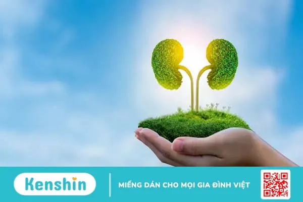 Sỏi thận do biến chứng bệnh tiểu đường