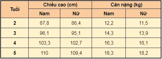 Sự phát triển của trẻ từ 2 – 5 tuổi có gì đặc biệt?