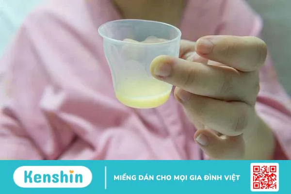 Sữa non và những lợi ích tuyệt vời đối với trẻ sơ sinh và trẻ nhỏ