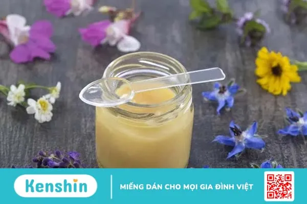 Sữa ong chúa là gì mà lại nhiều công dụng đến thế?