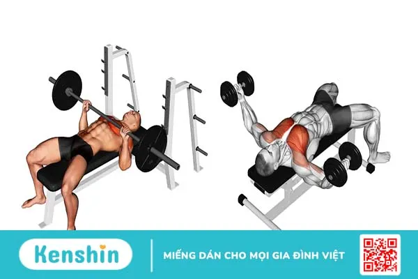 Superset là gì? Hướng dẫn tập Superset để tăng cơ hiệu quả