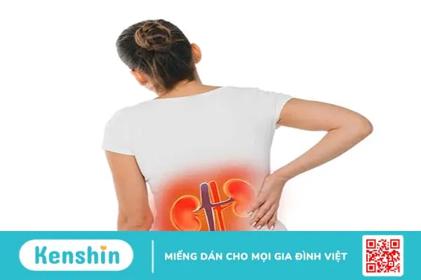 Suy thận cấp là gì? Đâu là triệu chứng suy thận cấp?