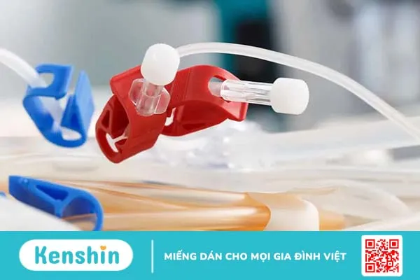 Suy thận cấp là gì? Đâu là triệu chứng suy thận cấp?