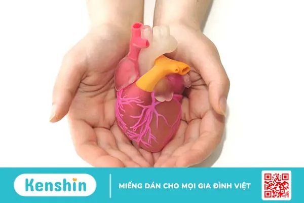 Suy tim cấp có nguy hiểm không? Cách phòng ngừa và điều trị suy tim cấp