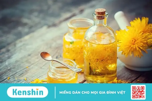 Tác dụng của cây bồ công anh: “thần dược” trong loài cây mọc dại