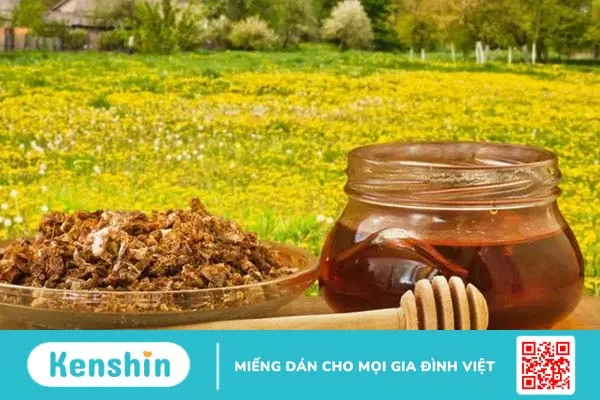 Tác dụng của keo ong không phải ai cũng biết