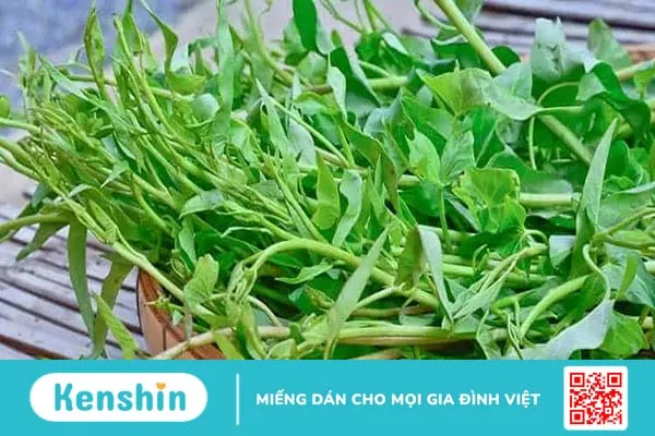 Tác dụng của rau muống là gì? Có nên ăn mỗi ngày không?