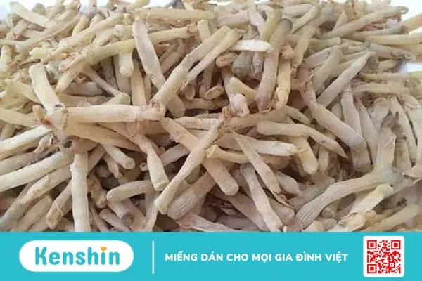 Tác dụng của sá sùng giúp bạn nấu ăn bổ dưỡng