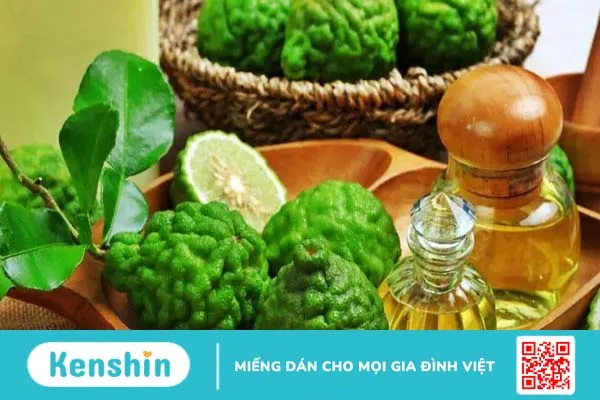 Tác dụng của tinh dầu trong điều trị cao huyết áp