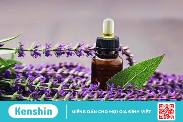 Tác dụng của tinh dầu trong điều trị cao huyết áp