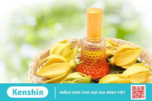 Tác dụng của tinh dầu trong điều trị cao huyết áp