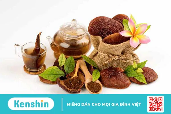 Tác hại của nấm linh chi: Hiểu để dùng đúng!