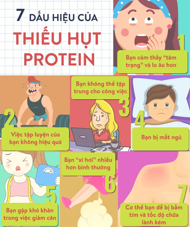 Tầm quan trọng của axit amin khi thiếu hụt protein