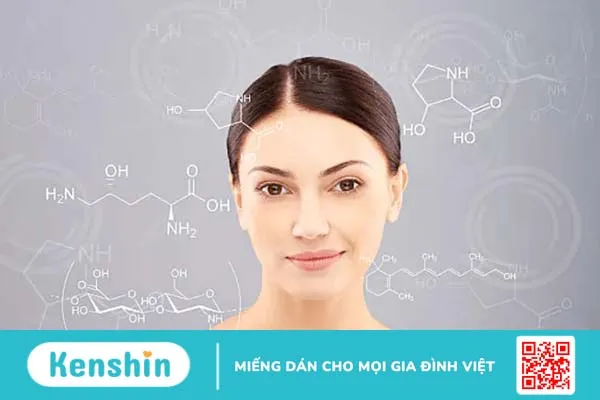 Tầm quan trọng của collagen đối với làn da