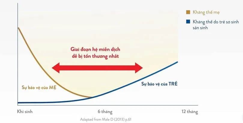 Tăng cường miễn dịch – Giải pháp “vàng” giúp trẻ giảm ốm vặt