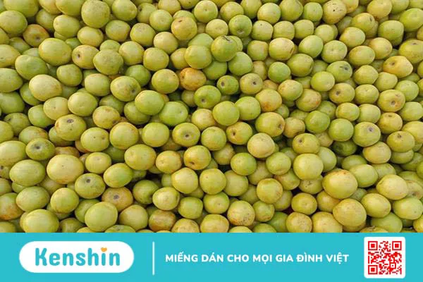 Táo xanh (táo ta): Loại trái cây quen thuộc với nhiều công dụng chữa bệnh