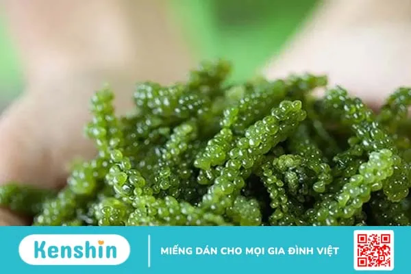 Tảo xoắn Spirulina có khiến bạn tăng cân?