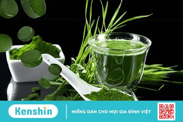 Tảo xoắn (tảo Spirulina) là gì? Lợi ích và cách sử dụng hiệu quả