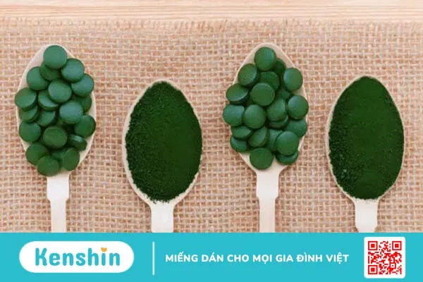 Tảo xoắn (tảo Spirulina) là gì? Lợi ích và cách sử dụng hiệu quả