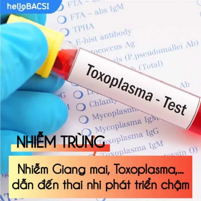 Thai nhi phát triển chậm: Mẹ bầu nên làm gì để ngăn ngừa biến chứng?