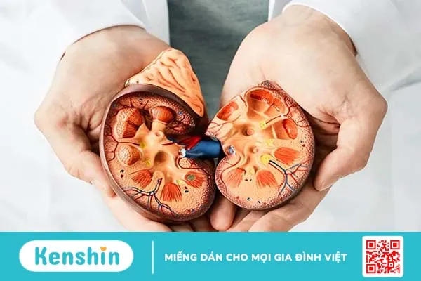 Thận ứ nước có biến chứng gì và cách phòng ngừa hiệu quả