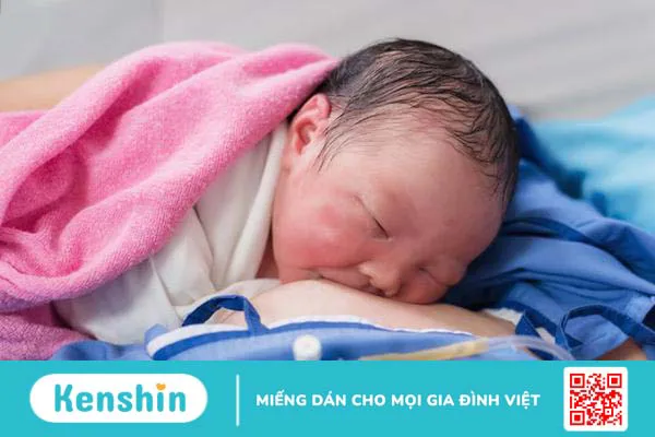 Thành phần sữa mẹ bao gồm những dưỡng chất quan trọng nào?