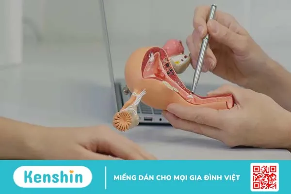 Thắt ống dẫn trứng bao lâu thì quan hệ được?