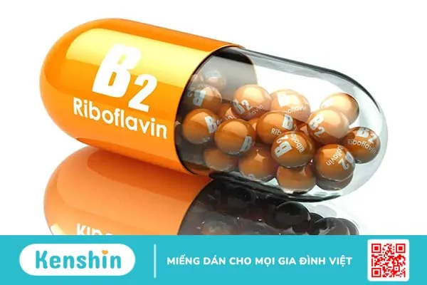 Thiếu vitamin B2 gây bệnh gì? Top 6 thực phẩm bổ sung vitamin B2 cho cơ thể