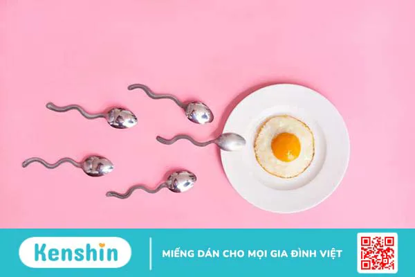 Thời gian thụ thai thành công là bao lâu? Câu trả lời từ bác sĩ sản khoa