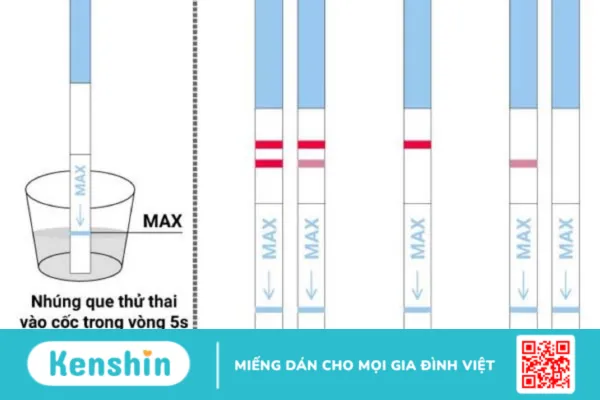 Thử thai tại nhà như thế nào mới đúng?