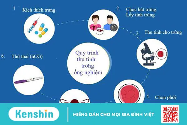 Thụ tinh trong ống nghiệm: Bạn cần biết điều gì?