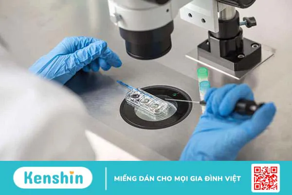 Thụ tinh trong ống nghiệm: Bạn cần biết điều gì?