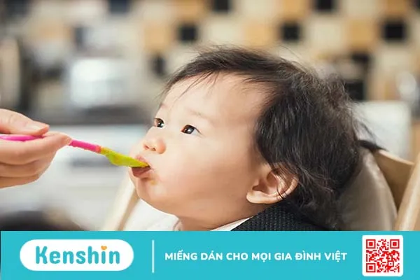 Thực đơn ăn dặm cho bé 6 tháng tuổi giàu dinh dưỡng