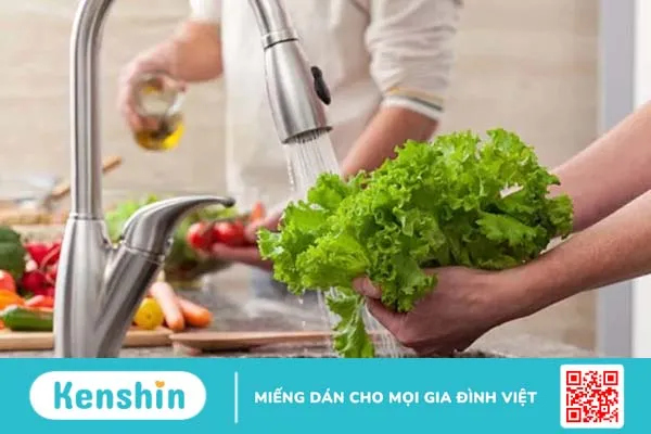 [Thực đơn mỗi ngày] Ăn rau sống có tốt không?