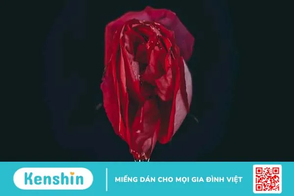 Thực hư phụ nữ ra nhiều chất nhờn khi quan hệ dễ dàng đê mê lên đỉnh?