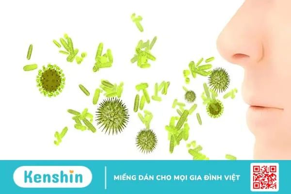 Thủng vách ngăn mũi là gì và cách điều trị