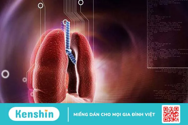 Thuốc giãn phế quản: Phân loại, cách dùng và tác dụng phụ