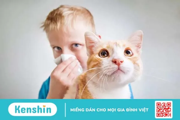 Thuốc kháng histamin là gì ? Cách sử dụng và điều trị hợp lý !