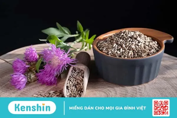 Thuốc mát gan là gì? Mách bạn 8 thuốc mát gan phổ biến