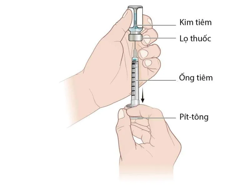 Tiêm bắp: Vị trí, quy trình và những lưu ý khi tiêm