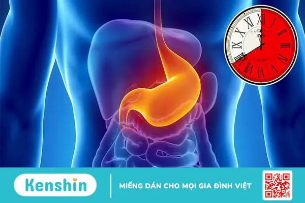 Tiết lộ thời gian tiêu hóa của các loại thực phẩm bạn ăn hàng ngày