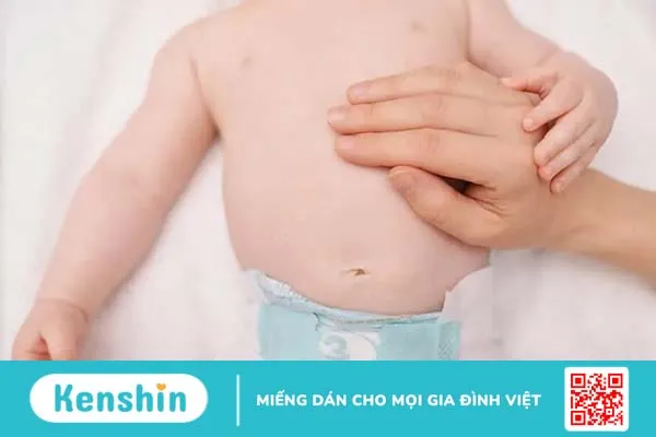 Tiêu hóa tốt – Nền tảng “vàng” cho miễn dịch và trí não