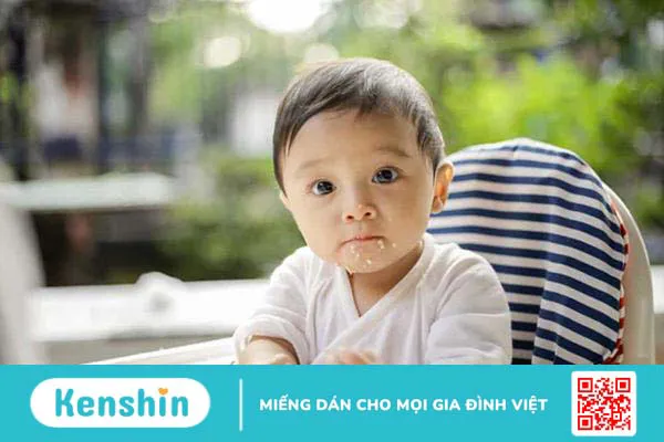 Tìm hiểu 5 loại ghế ăn dặm điều chỉnh độ cao cho bé phù hợp với nhiều giai đoạn phát triển