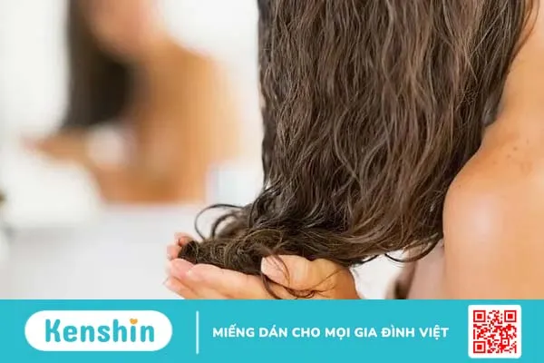 Tìm hiểu 6 dầu dưỡng tóc khô xơ dành cho tóc đã qua xử lý